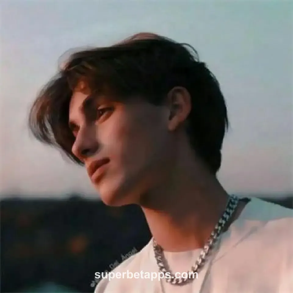 Avatar do Usuário Ankit